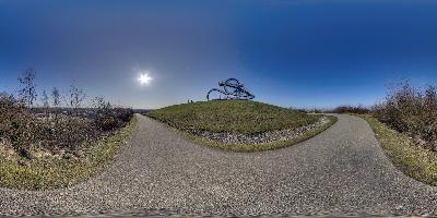 Tiger and Turtle